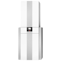 Настенный конденсационный газовый котел Wolf CGS-2-20/160L